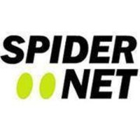 Spidernet - Soluções Informáticas logo - Similar company to Goodpartner