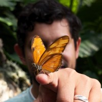 POKA means INSECT logo - Similar company to Patternine