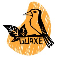 VOAGUAXE logo - Similar company to Pipoca Digital