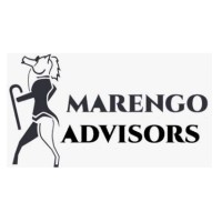 Marengo Advisors logo - Similar company to Putitout