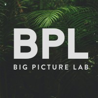 Big Picture Lab logo - Similar company to Ambr Motion