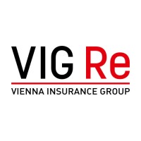 VIG Re logo - Similar company to Vig It Digital Solutions