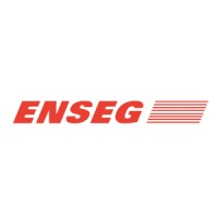Grupo Enseg logo - Similar company to Feeling Structures