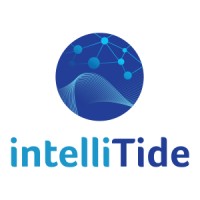 IntelliTide logo - Similar company to Luasai