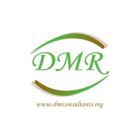 DMR Consultants logo - Similar company to Work Power Solution