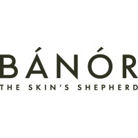 Bánór logo - Similar company to Kianda - Ehswise