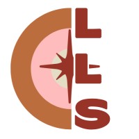 Little Light Solutions, LLC logo - Similar company to Azure Advertising