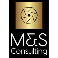 M & S Consulting