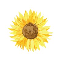 Ágata Market logo - Similar company to Aromaterapia Essenciall