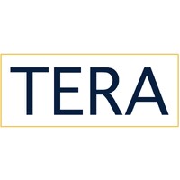 Tera Partners logo - Similar company to Cfac Portfolio Management