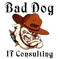 Bad Dog It Consulting, Llc