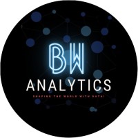 BW Analytics logo - Similar company to Mappers Sphere