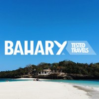 BaharyTravels logo - Similar company to Vpt Tours