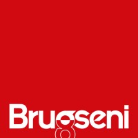 Kalaallit Nunaanni Brugseni logo - Similar company to Dome Compass