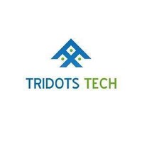 Tridots Tech Pvt Ltd logo - Similar company to Neoicon Solution Pvt Ltd
