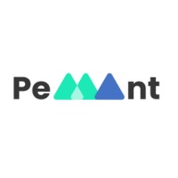 Pemant logo - Similar company to Qonect
