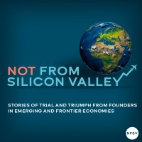 Not From Silicon Valley logo - Similar company to Trigem Dmcc