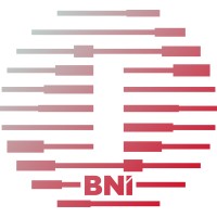 Brain Connection Online BNI logo - Similar company to Alpsoft Sa