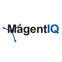 MagentIQ AI Labs logo - Similar company to Daiphys Technologies Llc