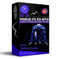 PrinceFxEa logo - Similar company to Kurdex