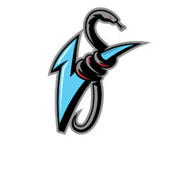 Vipers Pro Mens basketball team logo - Similar company to Billy Clapper Basketball