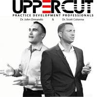 UPPERCUT CONSULTING logo - Similar company to Uppercut Consulting