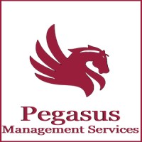 Pegasus Management Services, LLC logo - Similar company to Utilitarian