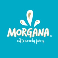 Morgana NL logo - Similar company to Morgana Apple