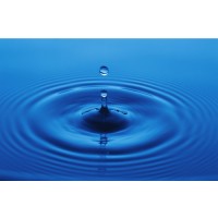 Continence Matters - Online Video Continence Course for Health Professionals logo - Similar company to Care N Help