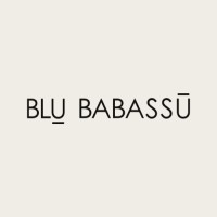 Blu Babassu logo - Similar company to Ruway