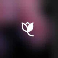 KOAS logo - Similar company to Falschrum