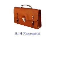 HnH Placement Pvt. Ltd. logo - Similar company to Catalyst Realty Advisors