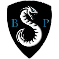 Basilisk Partners logo - Similar company to Two Twelve Advisors Llc