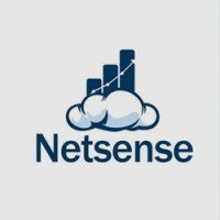Netsense Business Solutions Asia logo - Similar company to Acceltech Pte. Ltd.