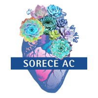 Sorece Asociación de Psicólogas Feministas logo - Similar company to Uniser Escuela De Crecimiento Interior