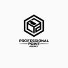 Professional Point Agency logo - Similar company to Aeternum Pvt Limited