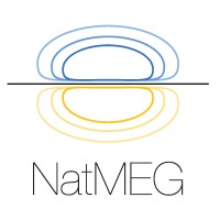 NatMEG logo - Similar company to Wergonic Ab