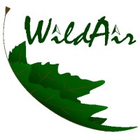 Wildair Outdoors