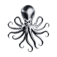 Kaf Crew logo - Similar company to Buzzers974
