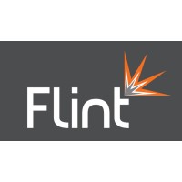 Flint Property Group Ltd logo - Similar company to Micro Clean Official