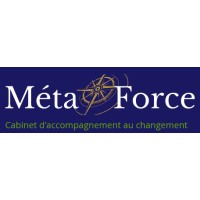 Cabinet Méta Force