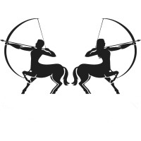 Centaurian Commercial Capital, LLC logo - Similar company to Waldo