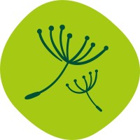 Dandelion Time logo - Similar company to Learn And Thrive