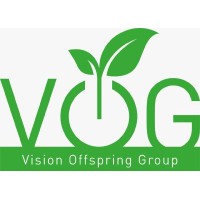 Vision Offspring Groupe logo - Similar company to Simpower ( Innovative Solutions)