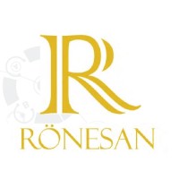 Rönesan Araştırma Teknoloji Geliştirme Elektronik LTD. ŞTİ. logo - Similar company to Karavi̇l Group