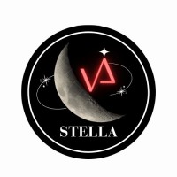 Via Stella logo - Similar company to Rilp Bot