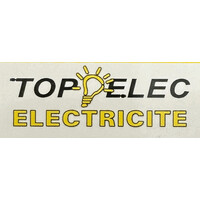 TopElec logo - Similar company to Entreprise De Maintenance Et De Travaux En Energie ( Emte)
