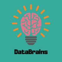 DataBrains logo - Similar company to Datasquad