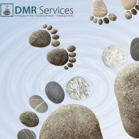 DMR Services Ltd logo - Similar company to Liberty Support Services