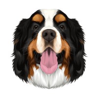 Bink Agency logo - Similar company to Three60° Consulting